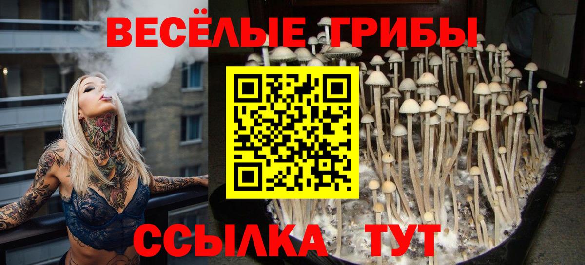 Псилоцибиновые грибы GOLDEN TEACHER  Галлюциногенные грибы Psilocybe  Ливны  Вход с VPN 